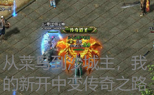 从菜鸟到沙城主，我的新开中变传奇之路