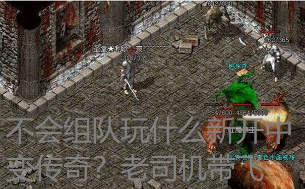 不会组队玩什么新开中变传奇？老司机带飞