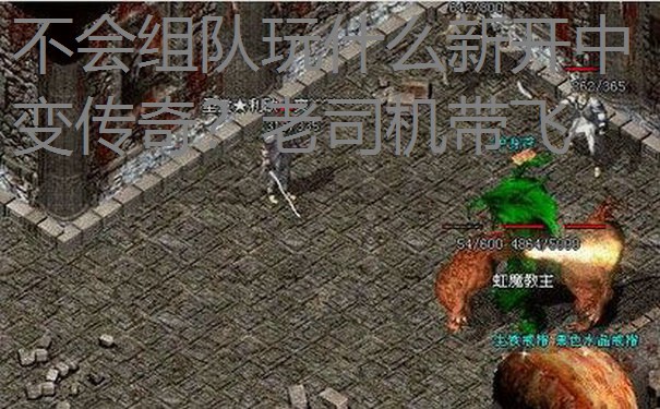 不会组队玩什么新开中变传奇？老司机带飞