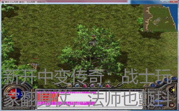 新开中变传奇:战士玩家翻身仗,法师也颤抖