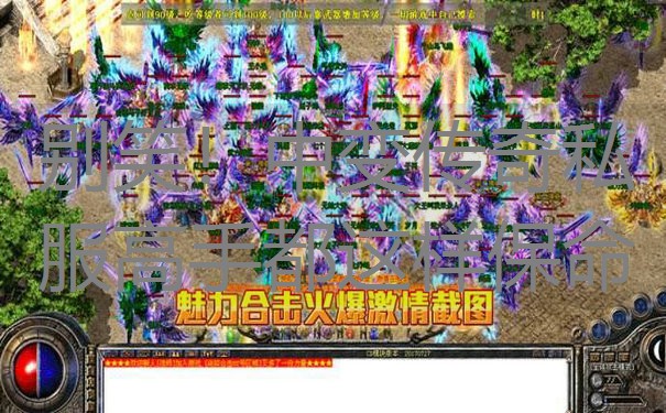 <b>别笑！中变传奇私服高手都这样保命</b>