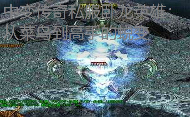 中变传奇私服卧龙英雄：从菜鸟到高手的蜕变