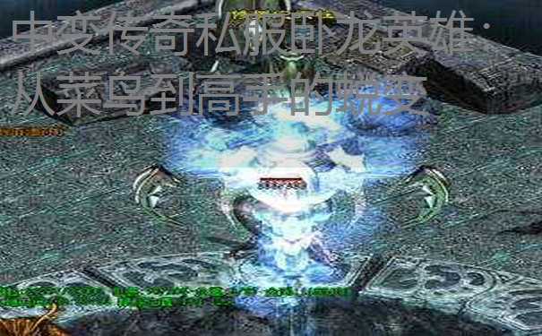 中变传奇私服卧龙英雄:从菜鸟到高手的蜕变 中变传奇私服卧龙英雄:从菜鸟到高手的蜕变